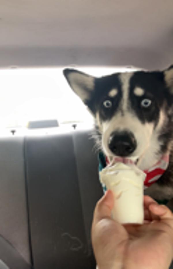 Toby