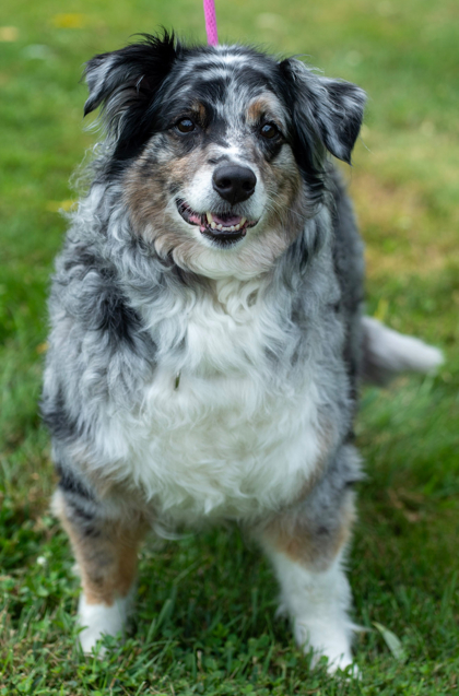 Reginald