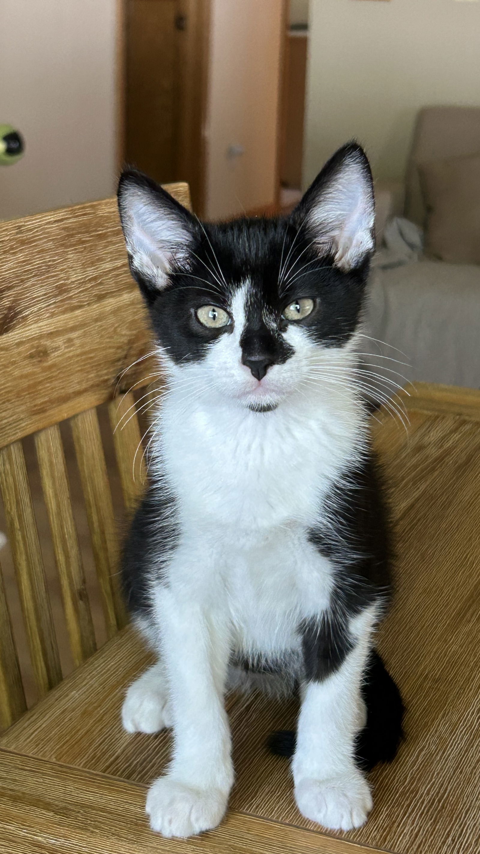 Tux
