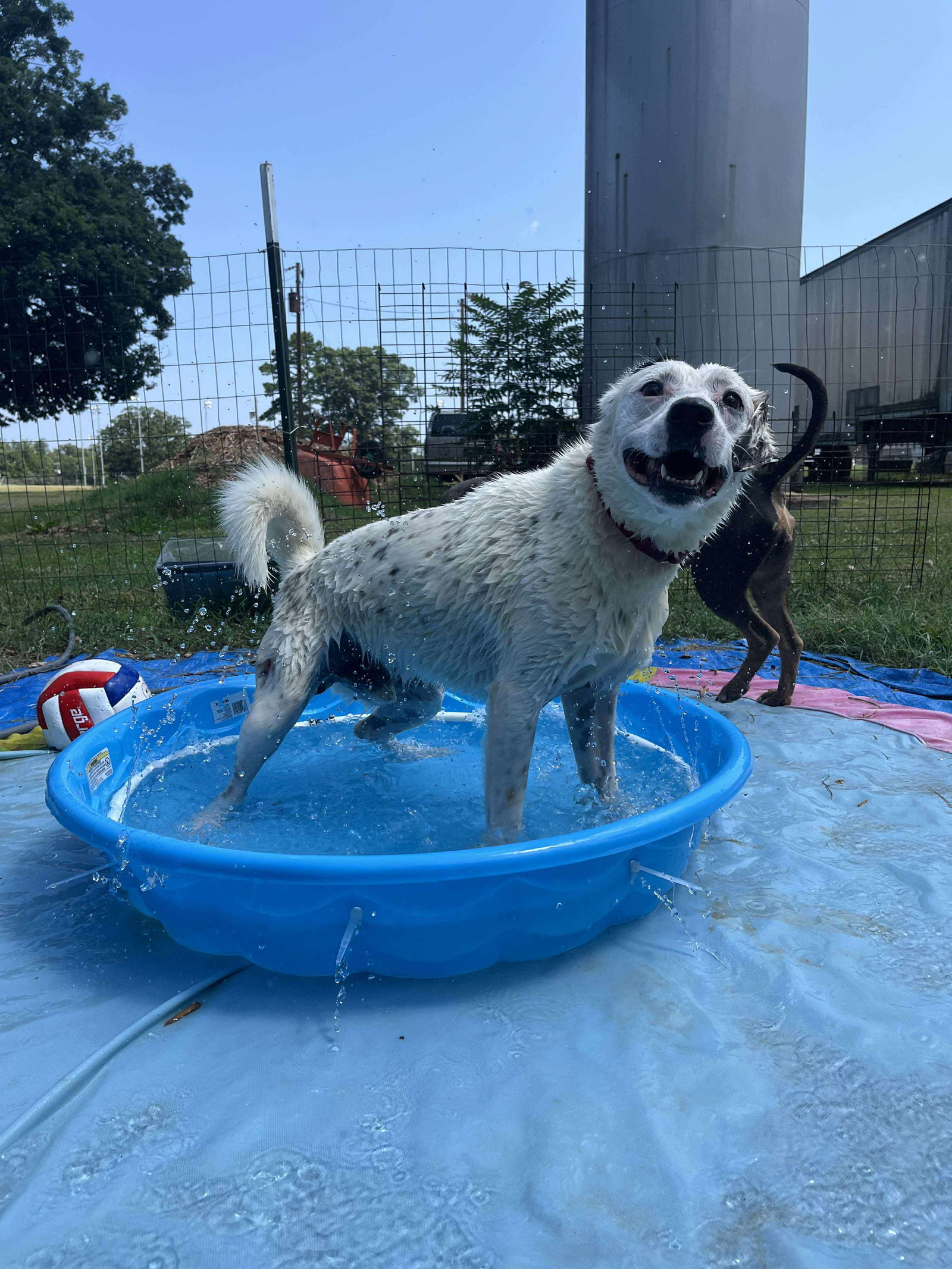 Tommy: At shelter