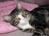 Simon photo 1