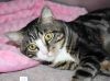Simon photo 3