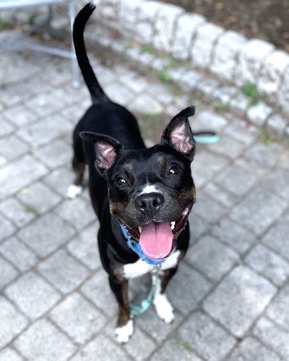 Pretty Penny