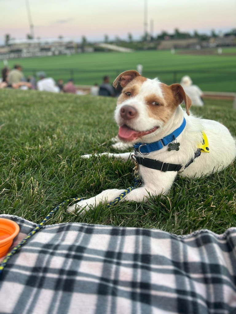 Garfunkel