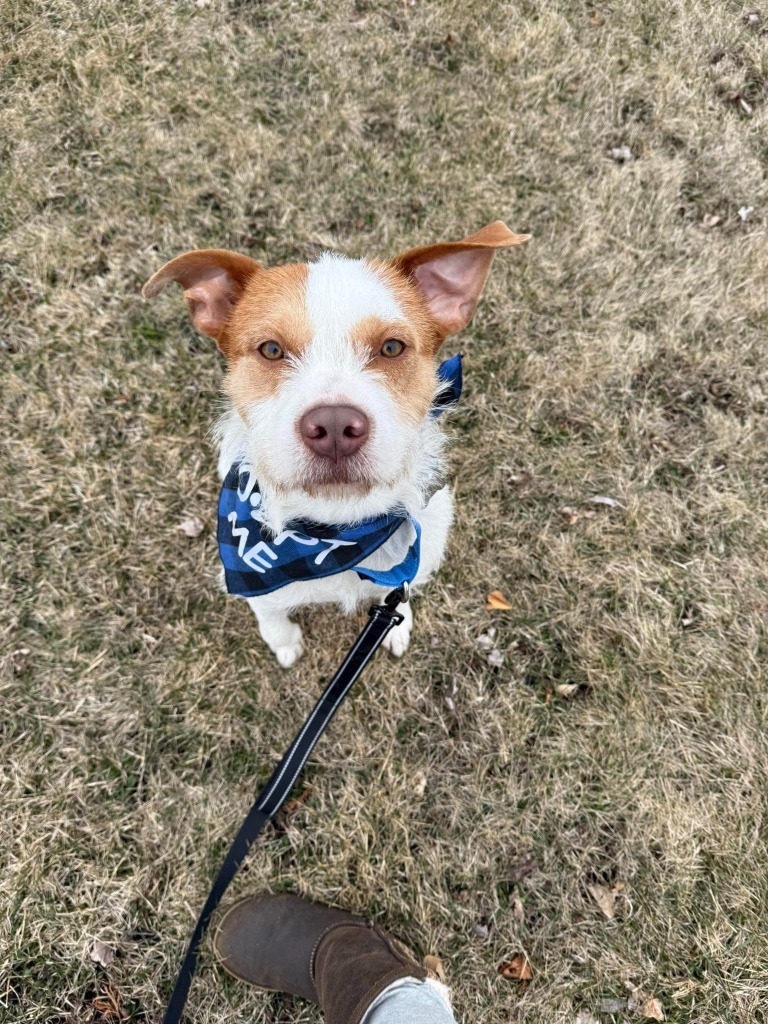 Garfunkel