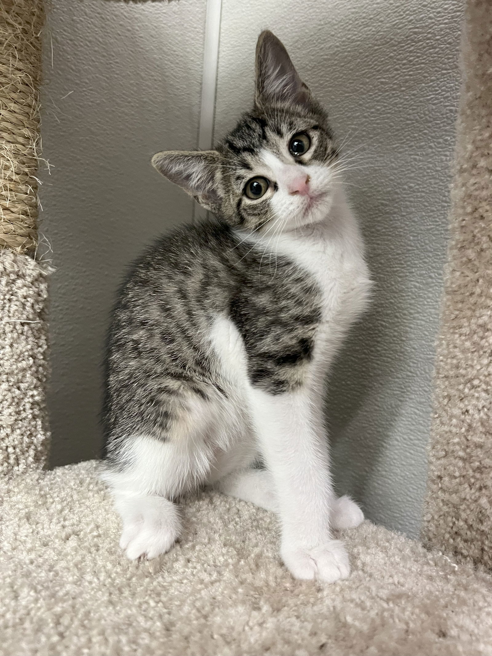 Taylor C Ingram-Come meet me at Pet supplies plus!
