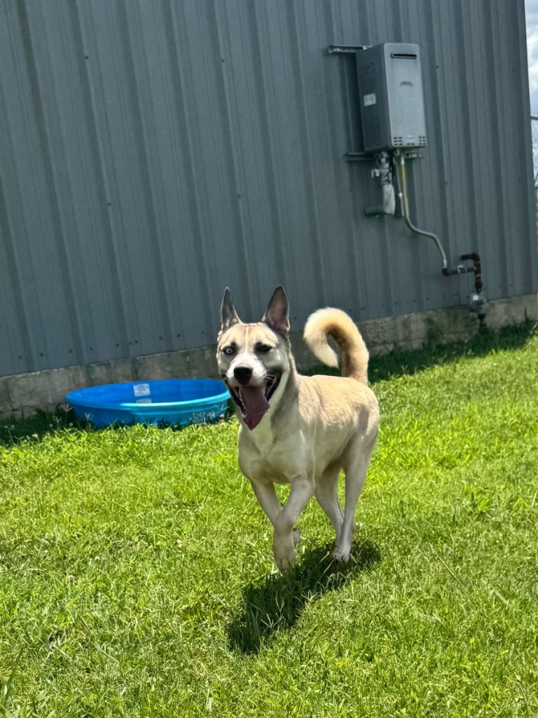 Heidi