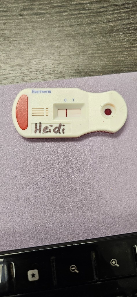 Heidi