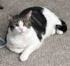 Taz photo 3
