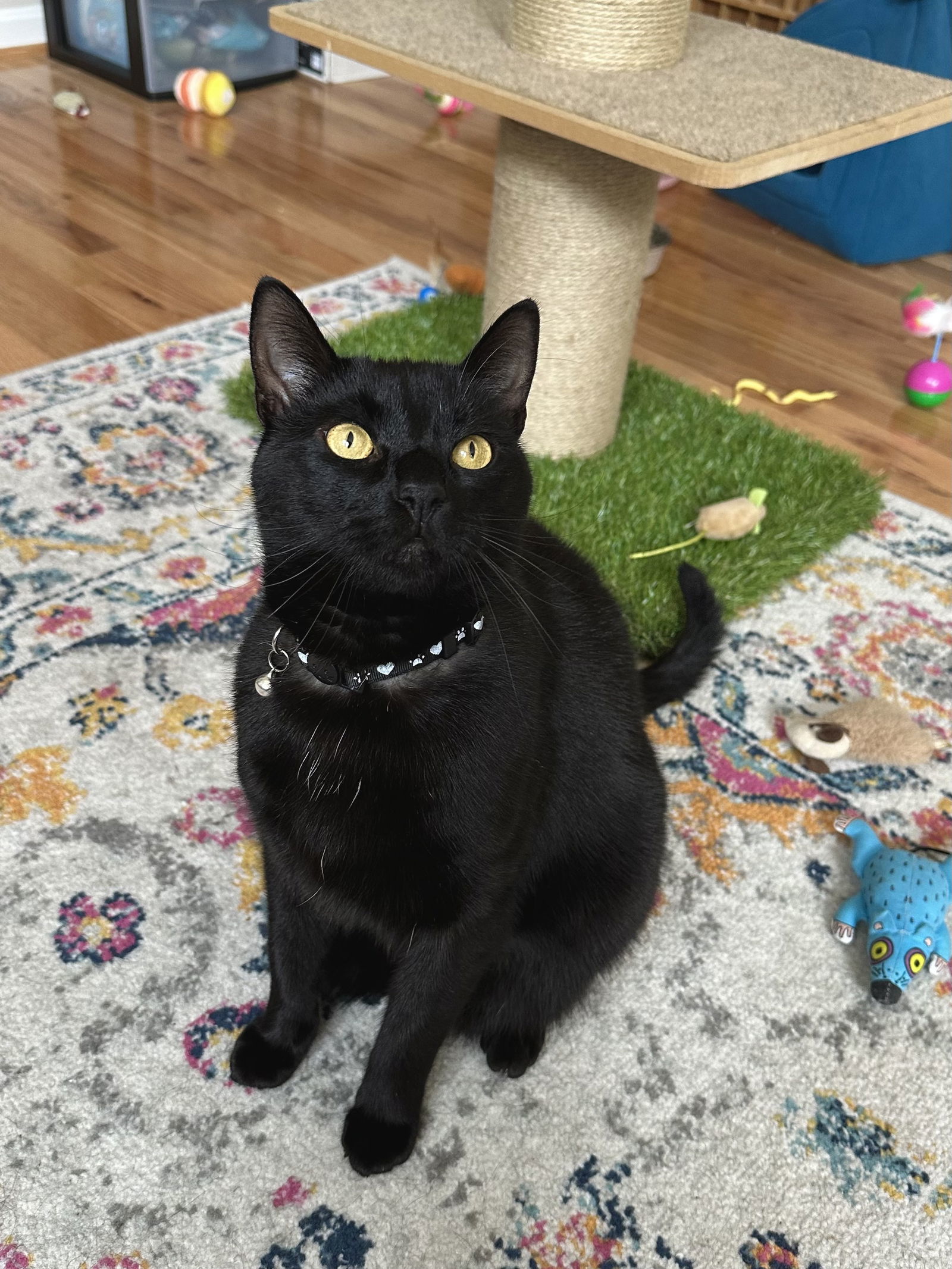 Benito (Benny)