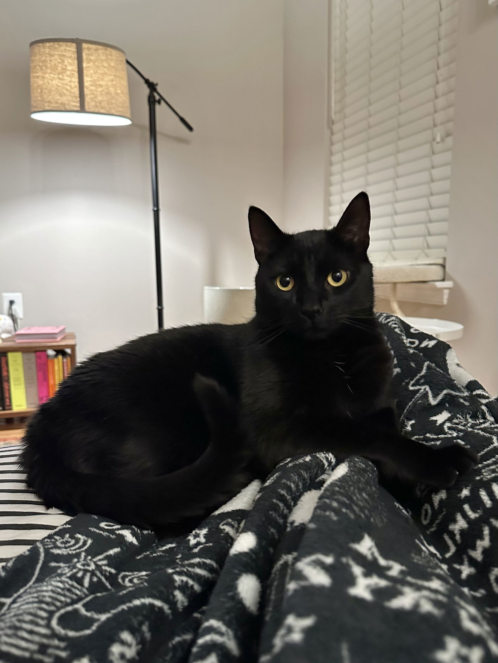 Benito (Benny)