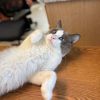 Melvin photo 2