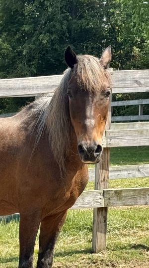 Liberty, Senior Female unknown
