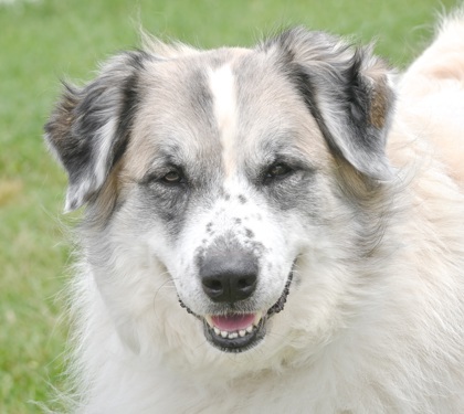 Kokomo