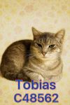 Tobias photo 1