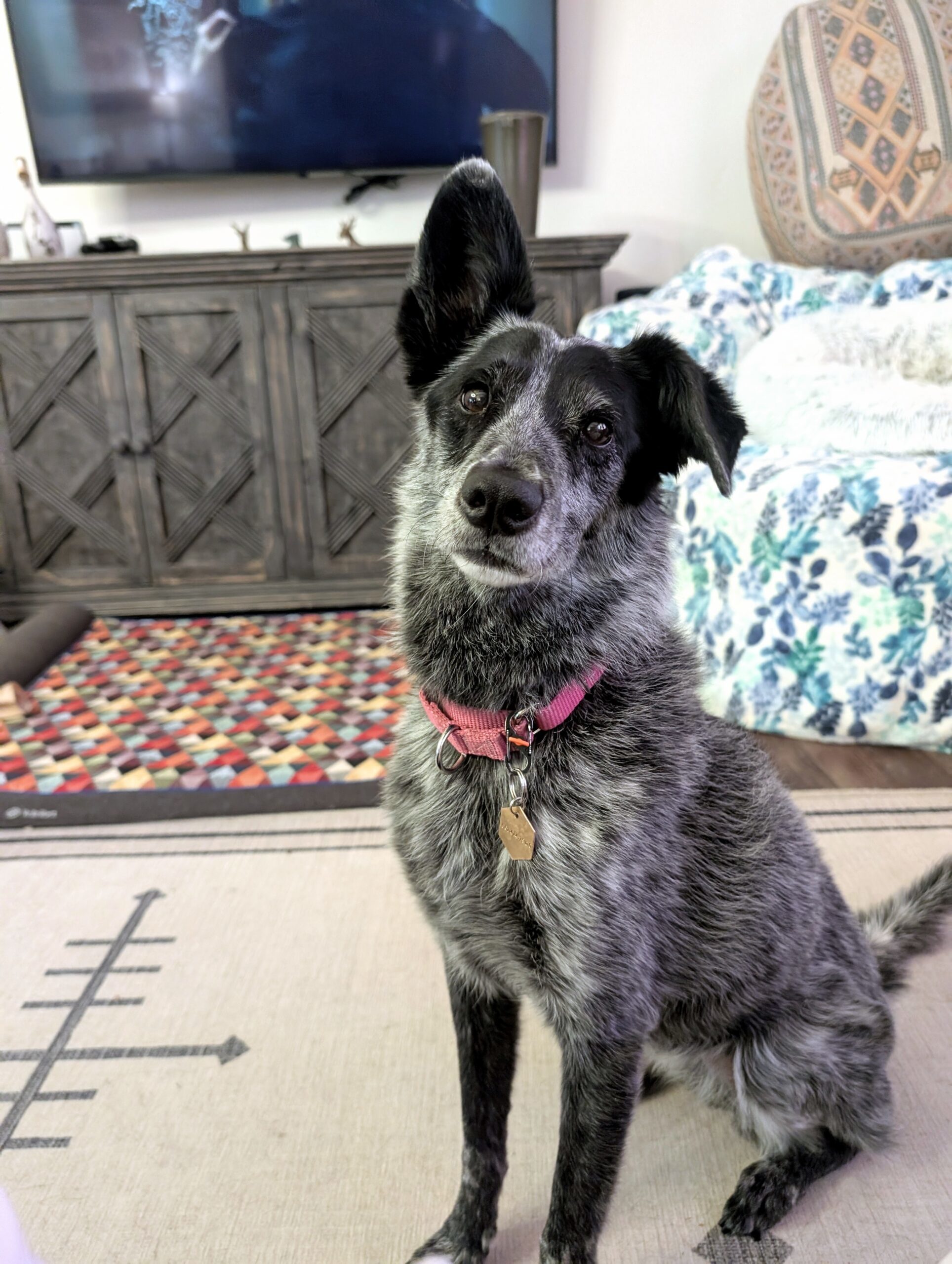 Marley