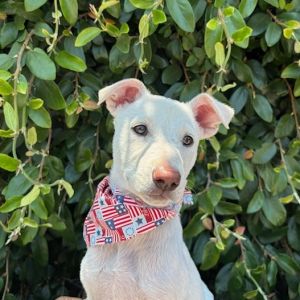 Hi My name is Whitney and Im at the Santa Barbara Campus Im a 2 month old fe