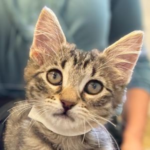 Hi My name is Snail and Im at the Santa Barbara Campus Im a 2 month old Fema