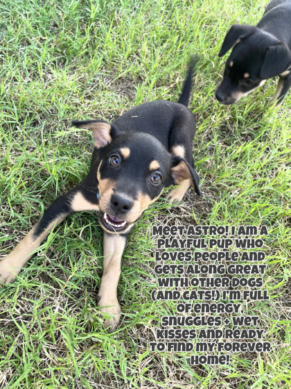 Astro