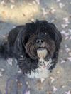 Khloe