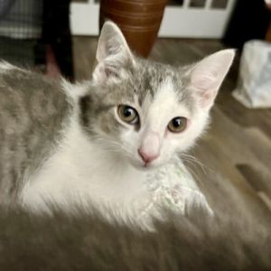 Just like his namesake little Heath Ledger has charisma to spare and a heart full of charm The mom