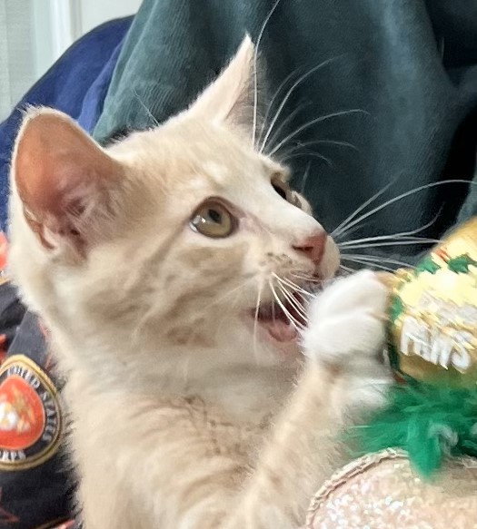 Gunther F.