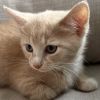Gunther F. photo 2