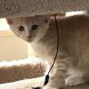 Gunther F. photo 4
