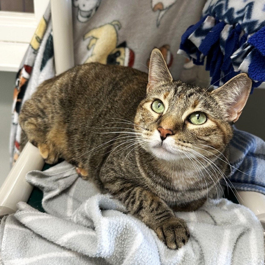 Fiona