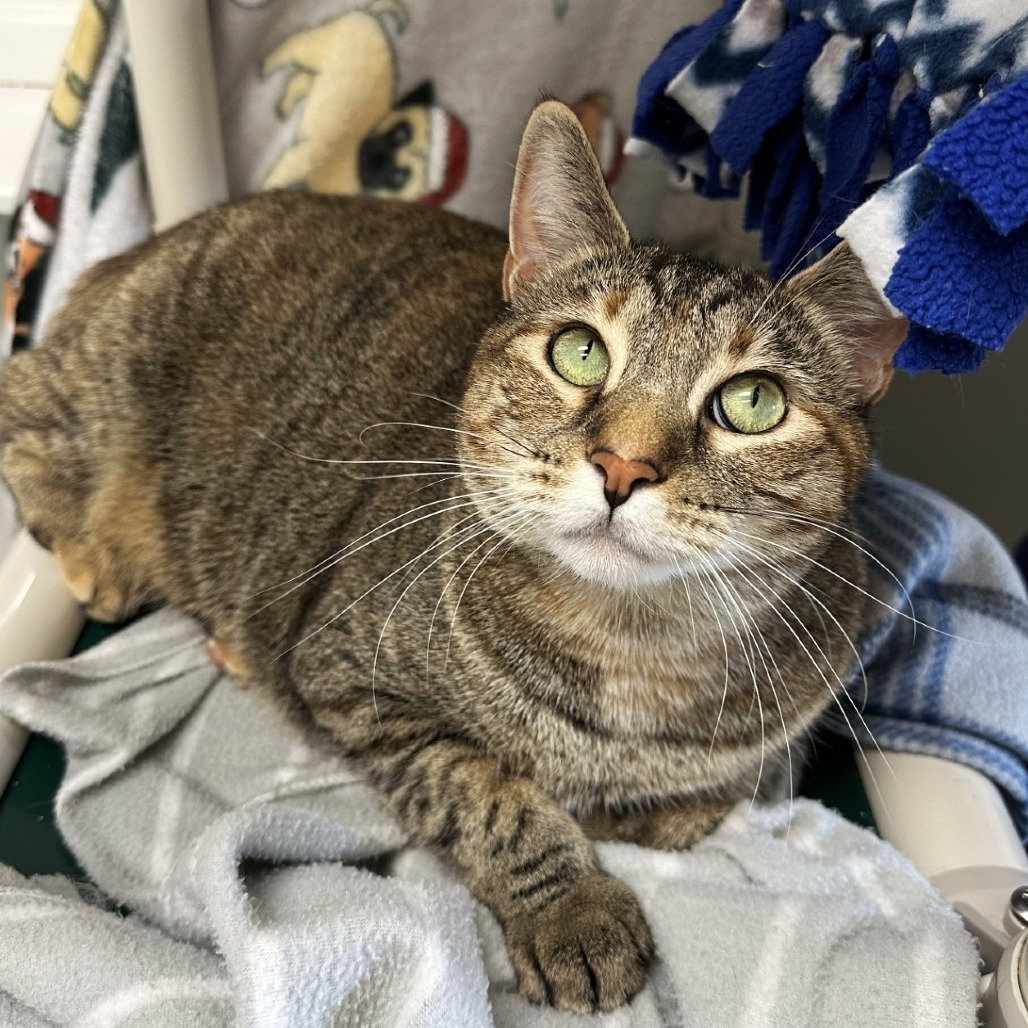 Fiona