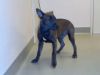 Jasper photo 3