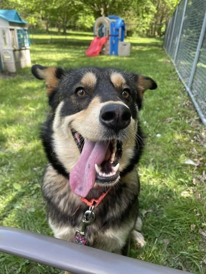 Skye