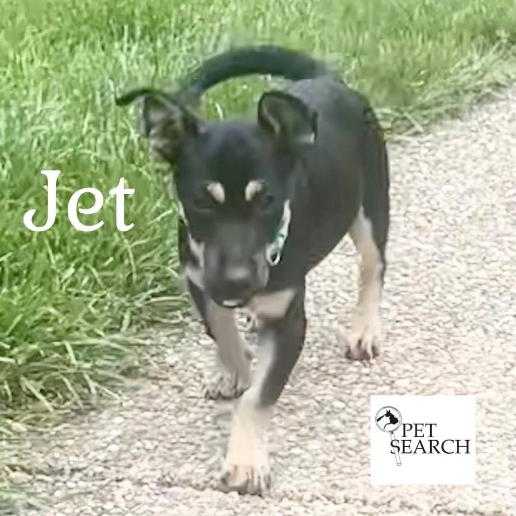 Jet