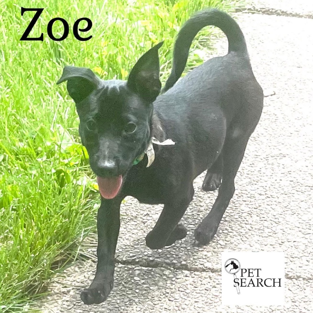Zoe