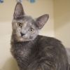 Mai (bonded with Raava) photo 1