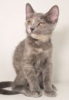 Mai (bonded with Raava) photo 2