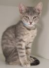 Raava (bonded with Mai) photo 2