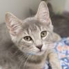 Raava (bonded with Mai) photo 3
