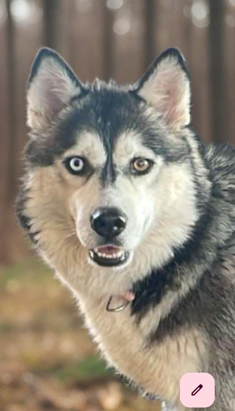 KAYA