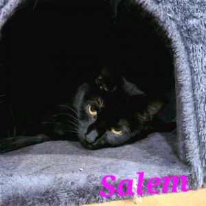 Salem