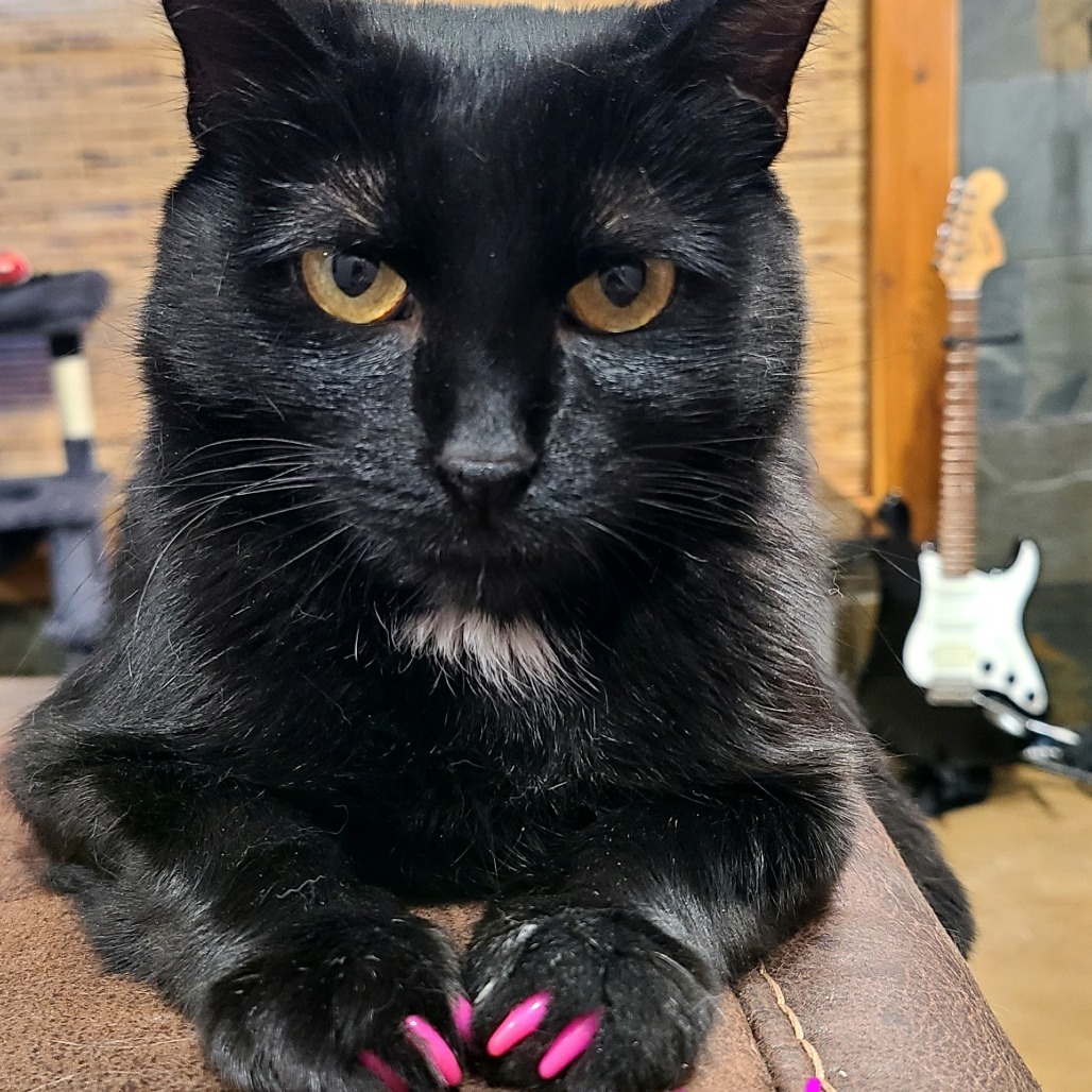 Salem
