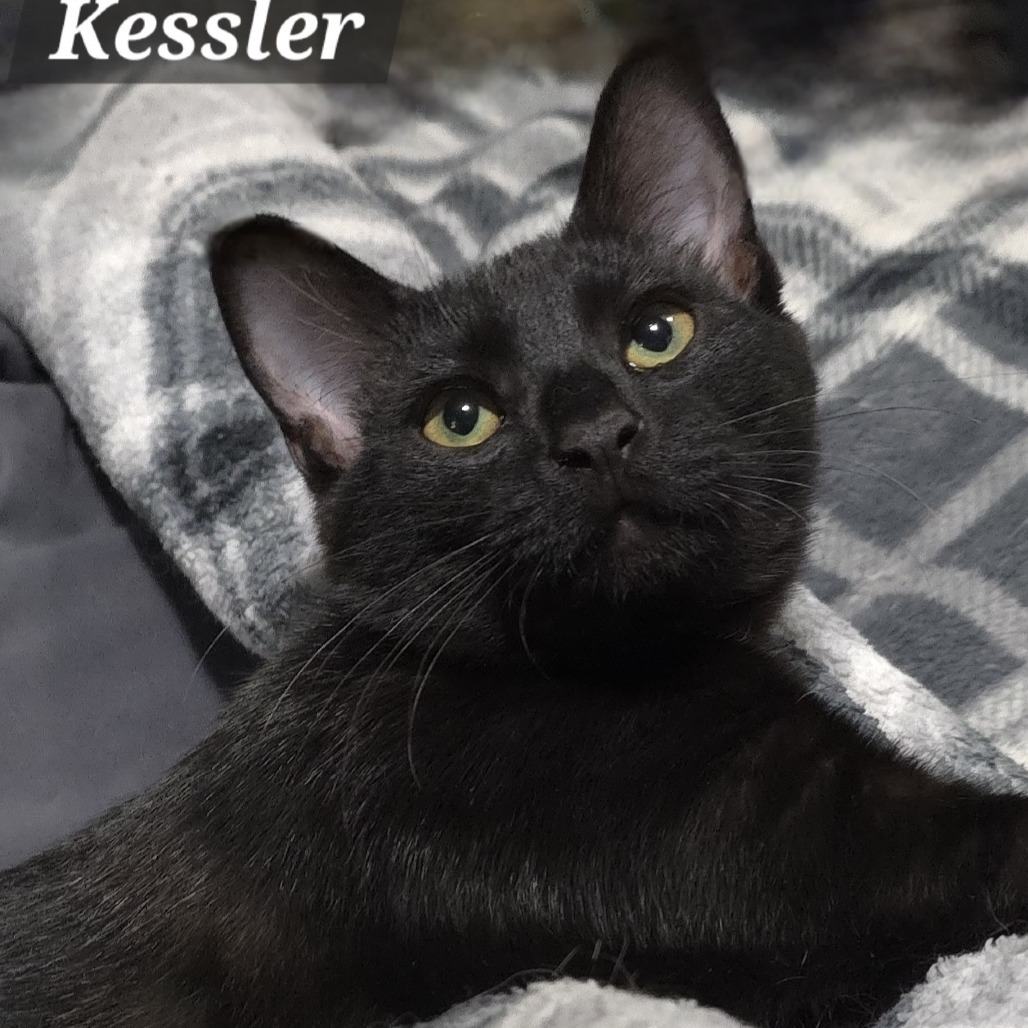 Kessler