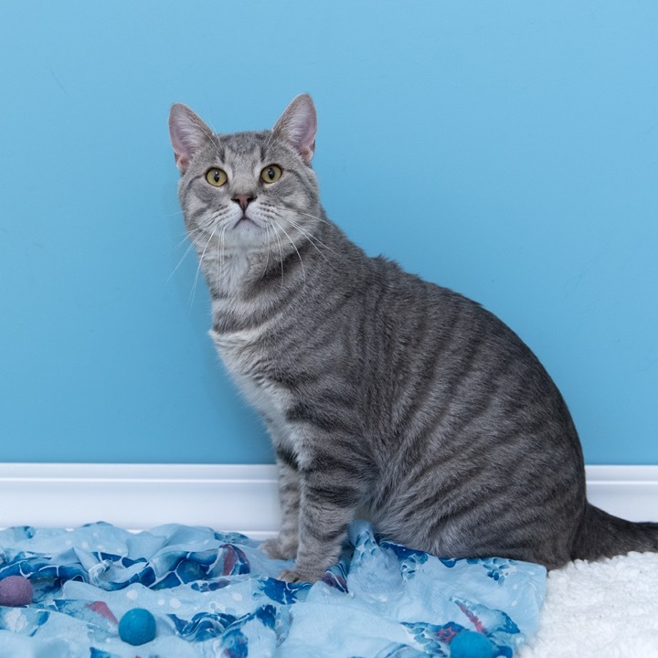 Milo