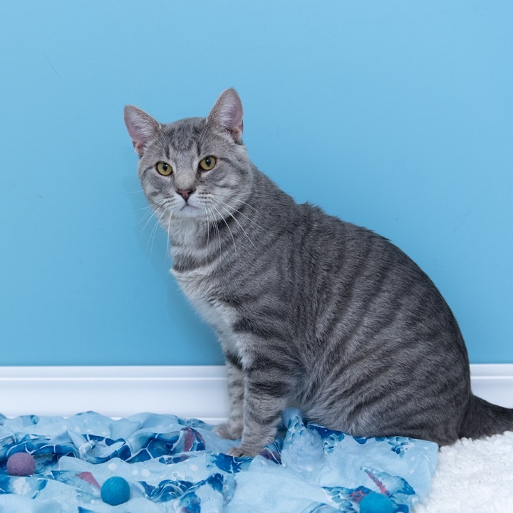 Milo