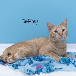 Jeffrey