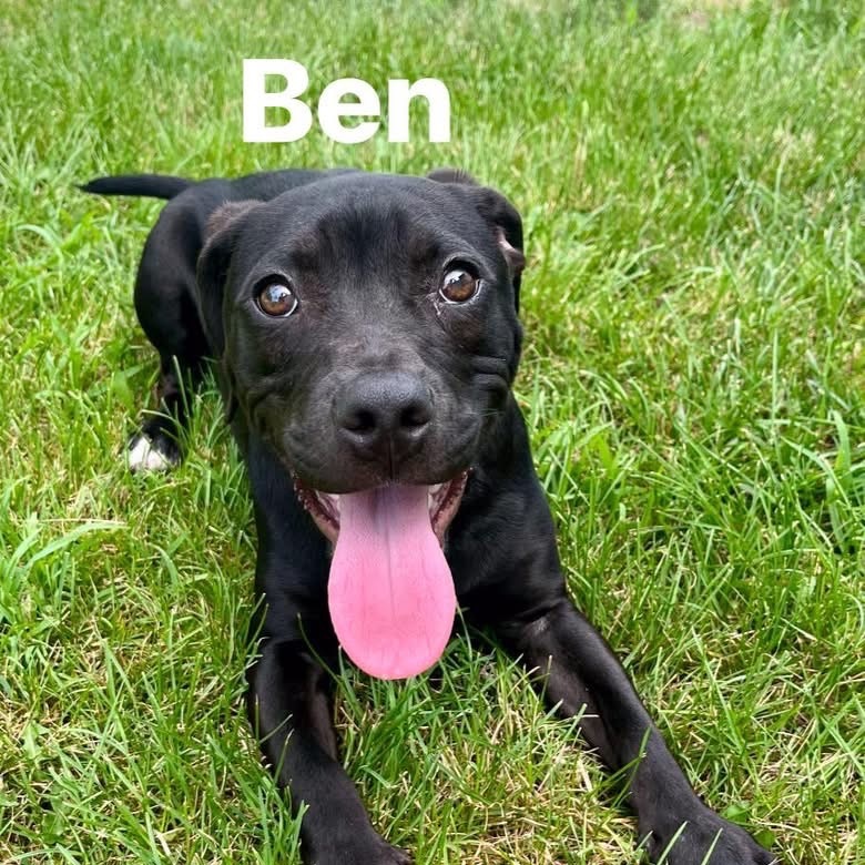 Ben