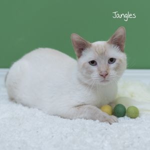 Jangles