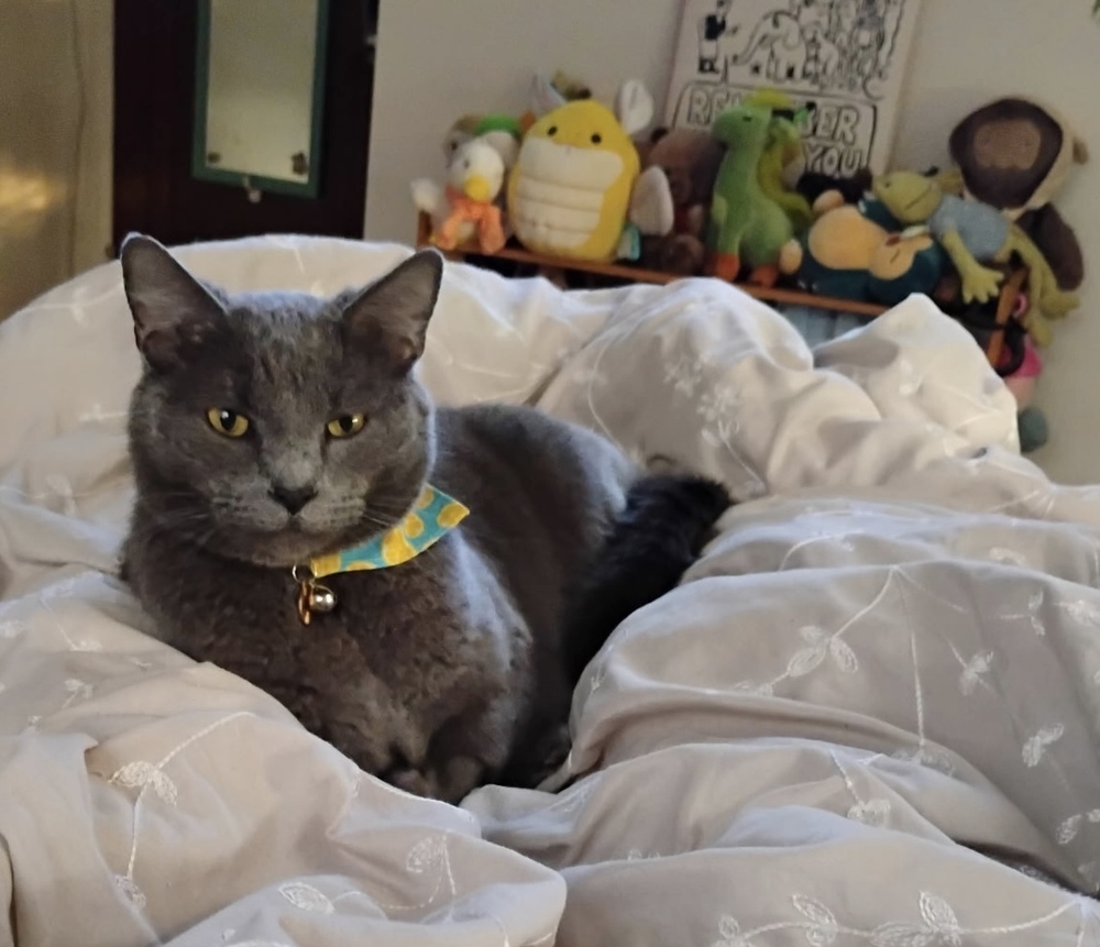 Pickle