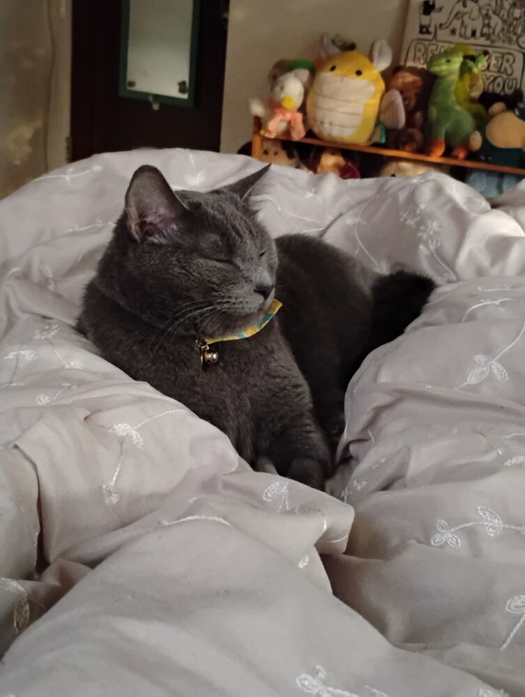Pickle