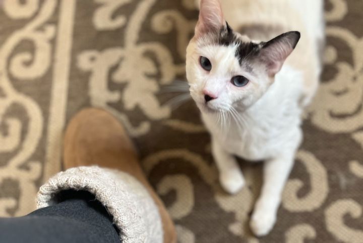 Zut (Grand Junction) 1